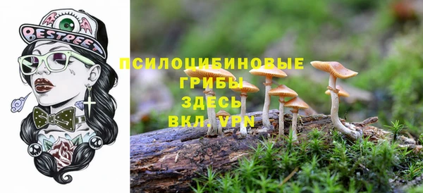 наркотики Инсар
