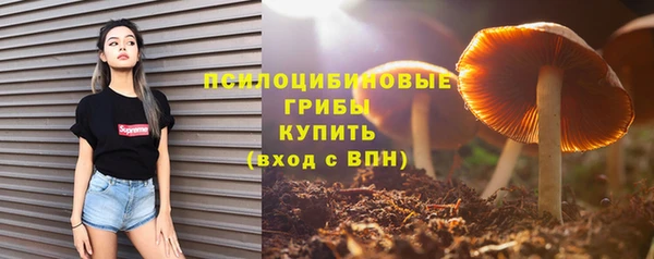 гидра Иннополис